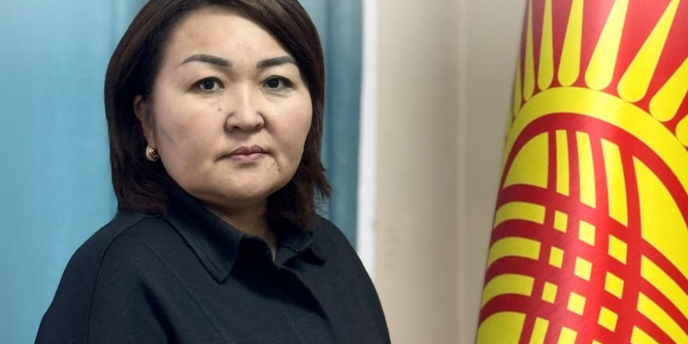 Qırğızıstan Azərbaycanla sığorta layihələri hazırlamaq istəyir