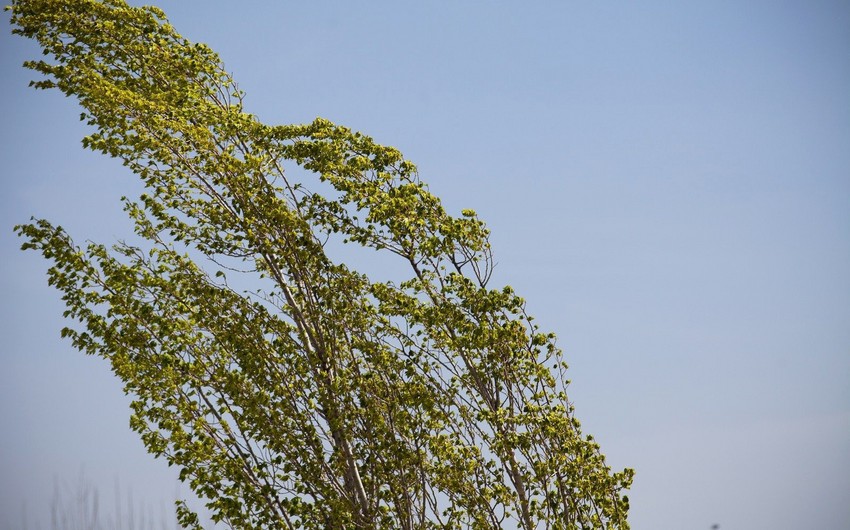 Növbəti üç gündə bəzi bölgələrdə güclü külək əsəcək