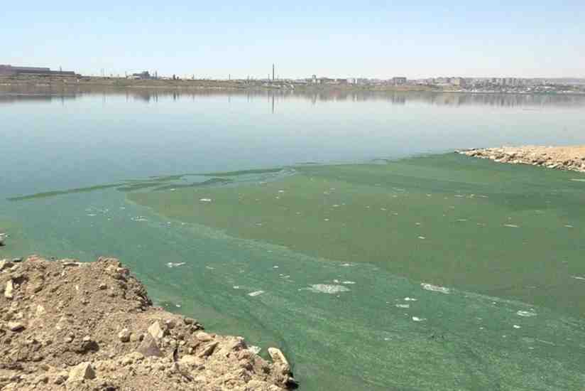 Dünya Bankı Abşeron göllərinin bərpasına qrant ayırıb