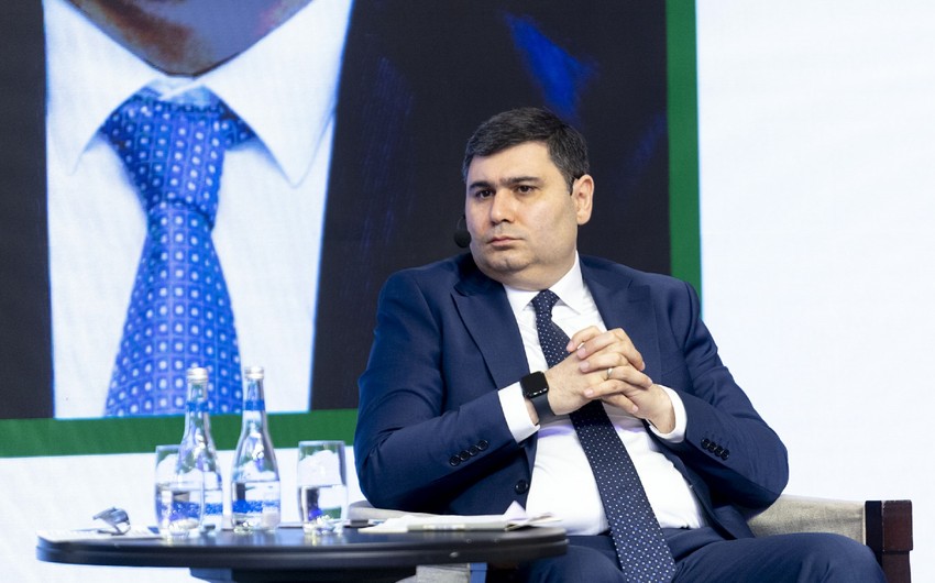 AMB aqrar sığorta sistemi üzrə təkmilləşdirmə işləri aparır - sədr müavini