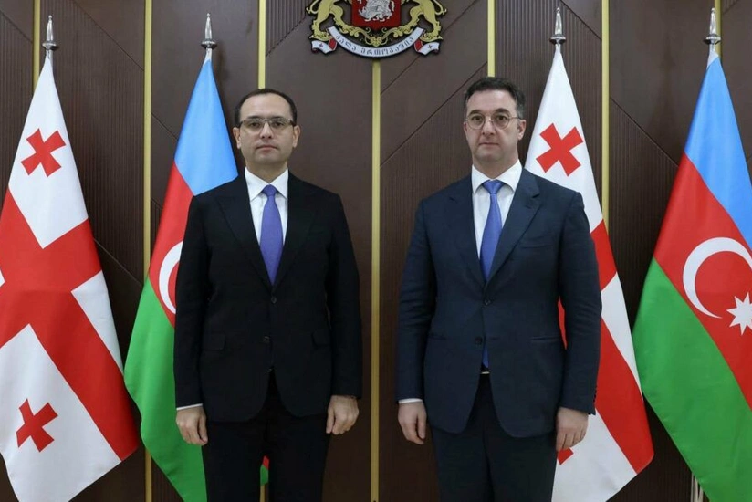 Gürcüstan və Azərbaycan kənd təsərrüfatı sahəsində işçi qrupu yaradacaq