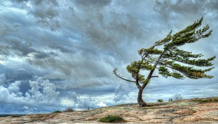 Küləkli hava şəraiti həftə sonunadək davam edəcək