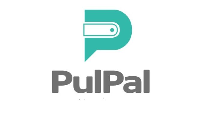 Mərkəzi Bank "PulPal" MMC-nin vəzifəli şəxsini cərimələyib