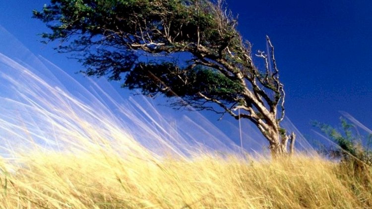Azərbaycanda güclü külək əsəcək oalcaq, leysan yağacaq