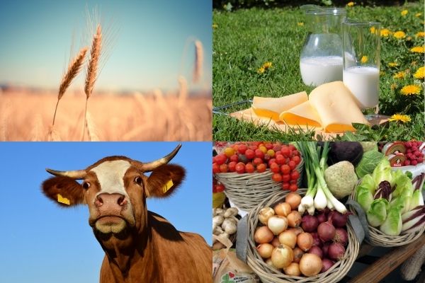 Azərbaycanda kənd təsərrüfatı məhsullarının həcmi açıqlanıb