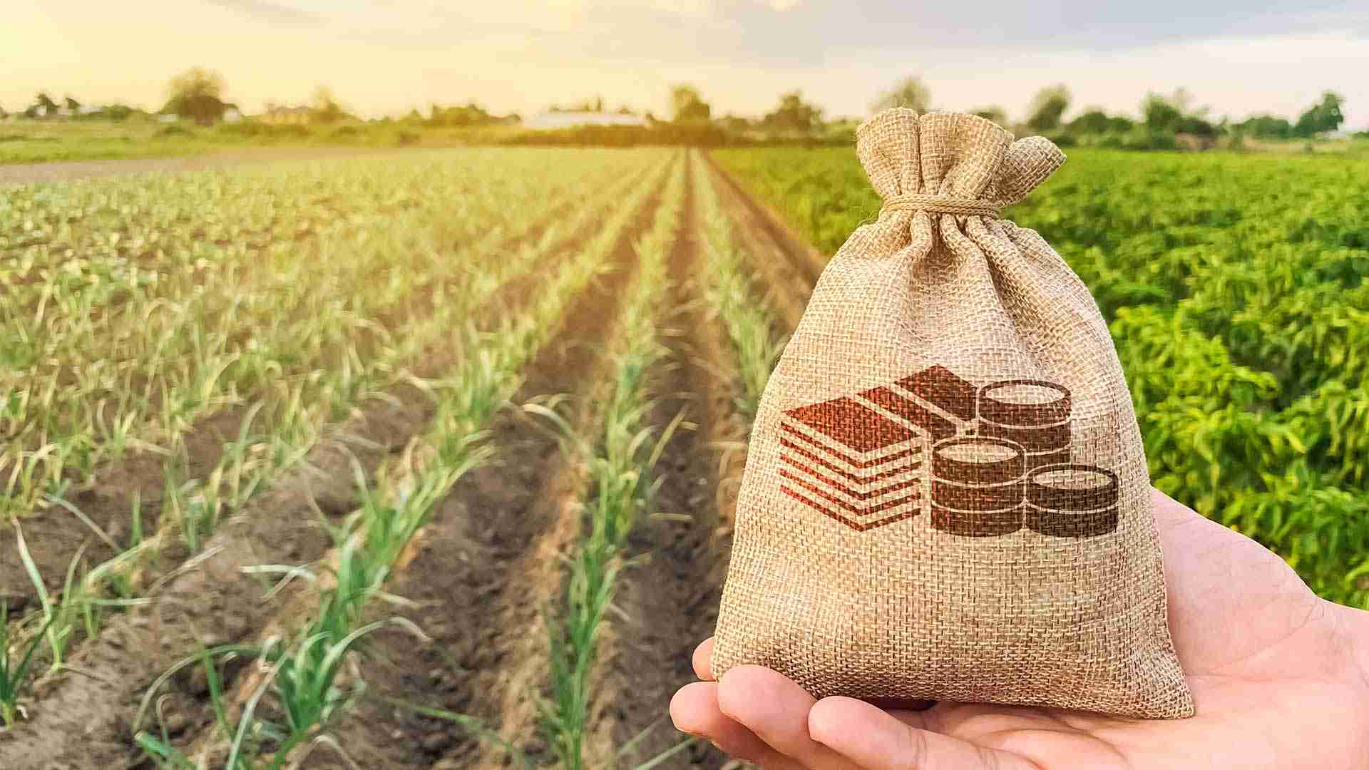 Azərbaycan kənd təsərrüfatı xərclərini azaldır