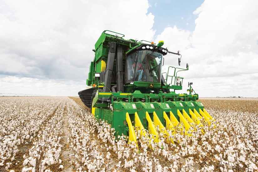 Azərbaycanda bu il nə qədər pambıq yığılıb?